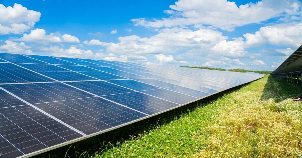 solarpark-panel-greentech